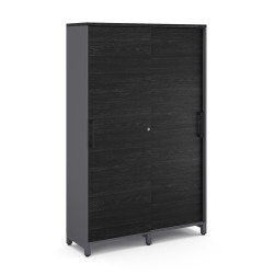 Шкаф-купе гардероб Kobor HKG/5-120/60/M graphite/wood